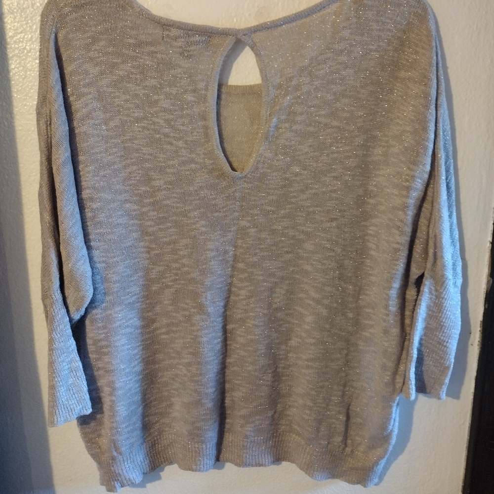 Gray sparkly crop shirt. Sleeves are a little shorter.